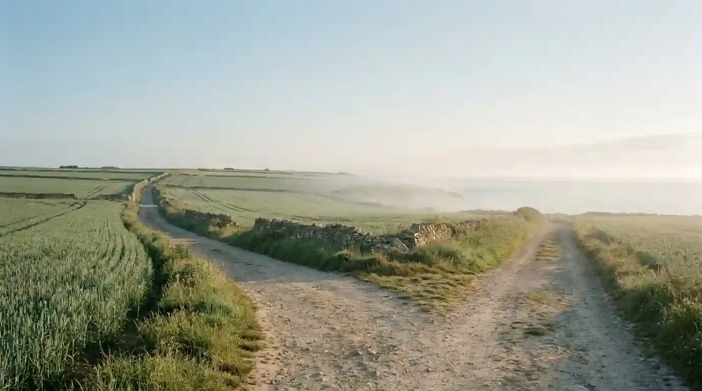 Symbolische Wegkreuzung auf einer weiten Landschaft mit zwei getrennten Pfaden vor sanftem Morgenlicht